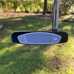 Taylormade TM-770 Face Balanced Mallet Putter  