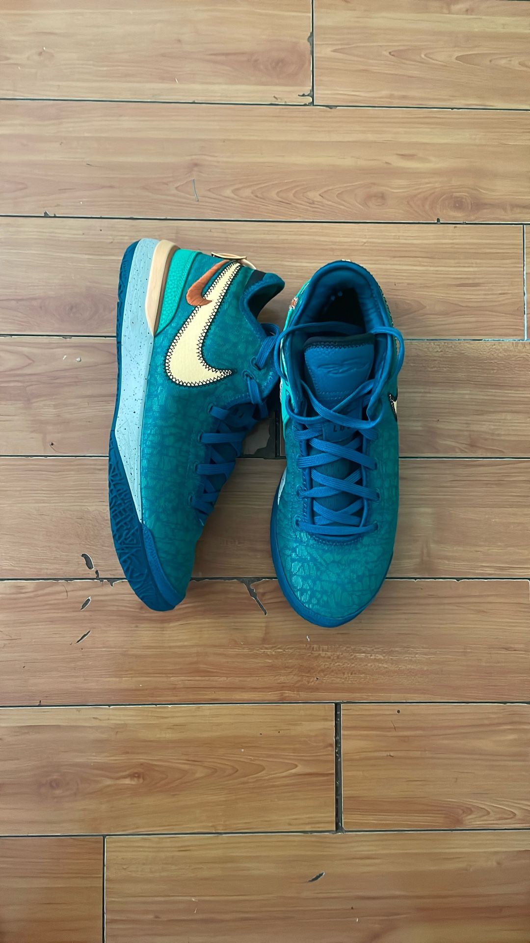 Nike Indoor Basketball Shoes