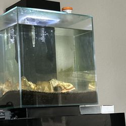 Fish Tank 5 Gal