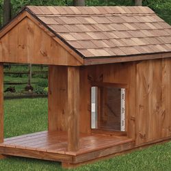 Dog House 