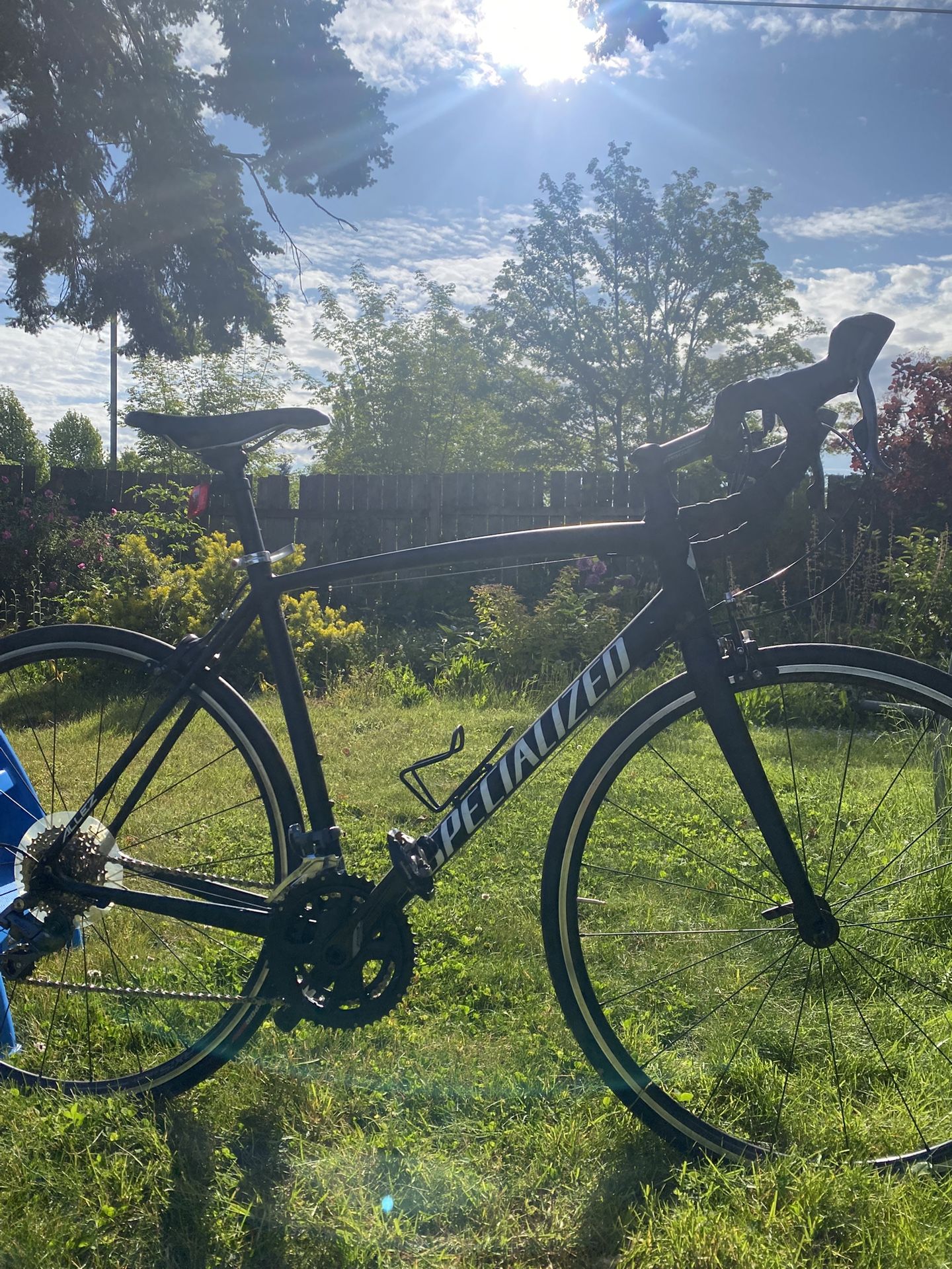 56cm (Large) Specialized Allez Road bike