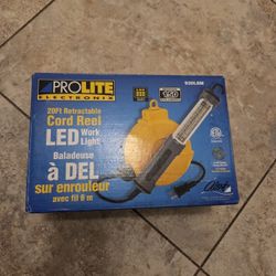 Cord Reel LED Work Light 20ft