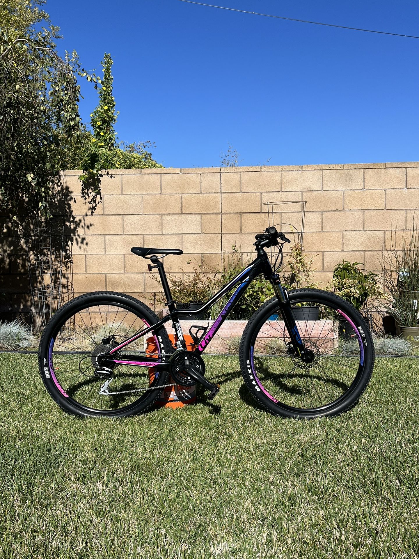 Giant Liv Mountain Bike