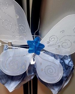 Halloween Costume Fairy Wings And Skirt 