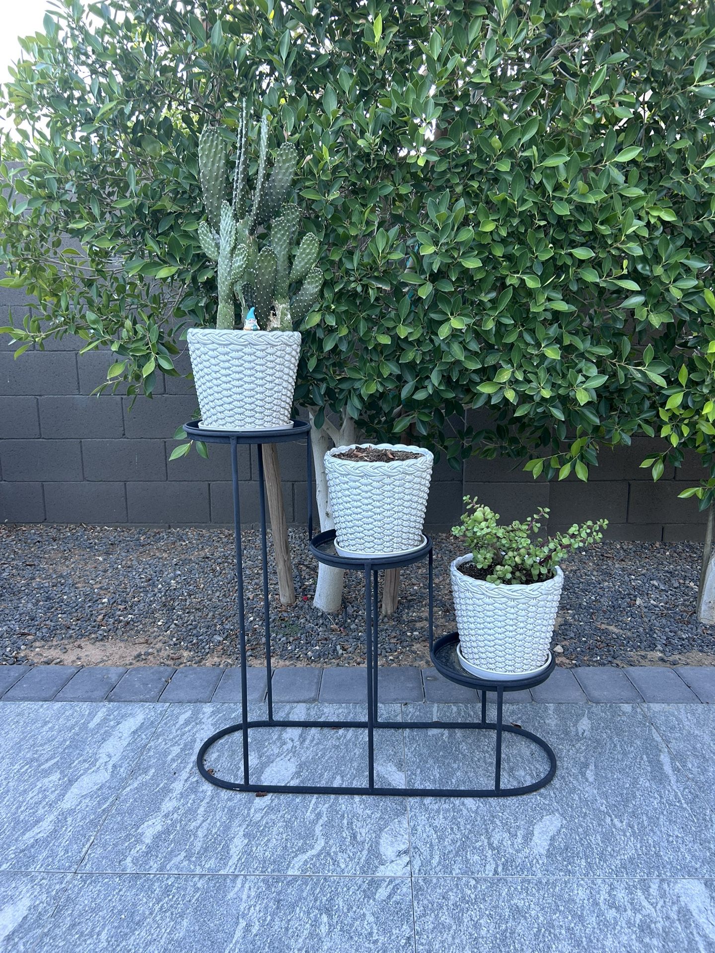 3 Pots With Plants, Pots And Pot Holder