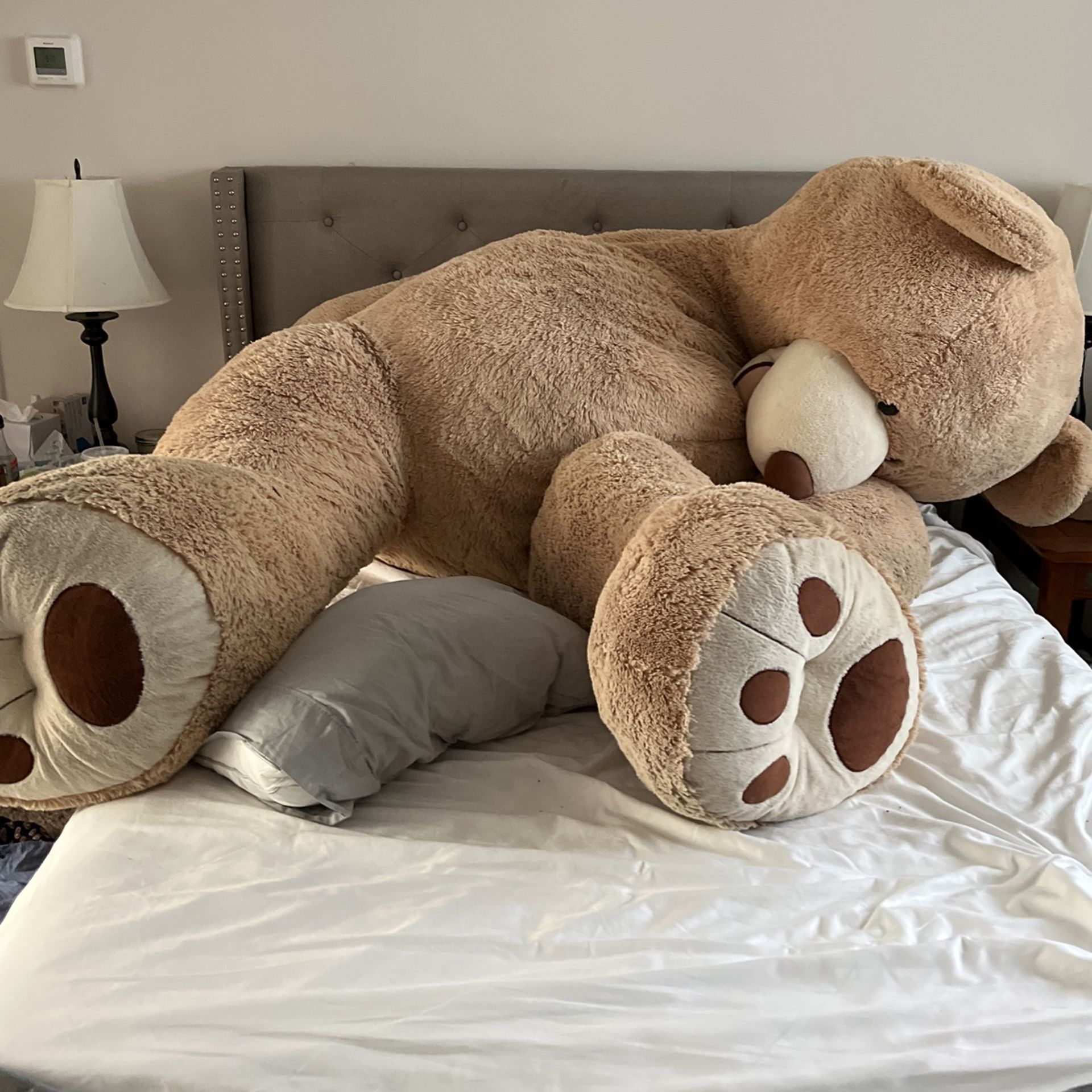 Brand New, HUGE 53” Luxury Teddy Bear for Sale in Foxcroft Square, PA -  OfferUp