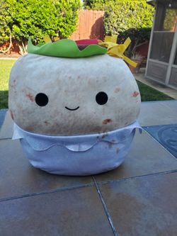 Burrito Squishmallows