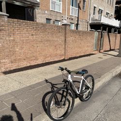 Diamondback Large Frame 29