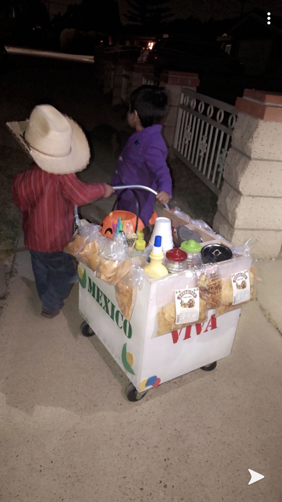 Toddler elotero cart