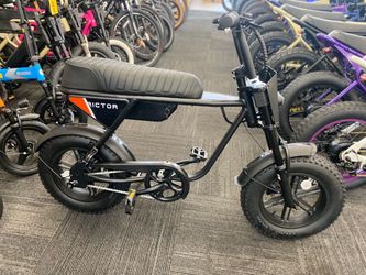 Rictor Electric Bike 750W/48V 28MPH/45 Miles Range.