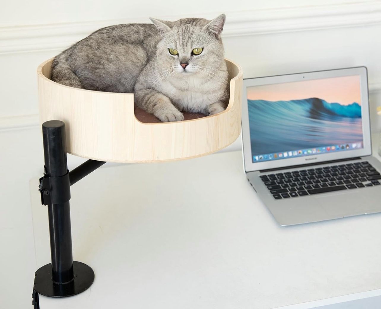 Desk Cat Bed