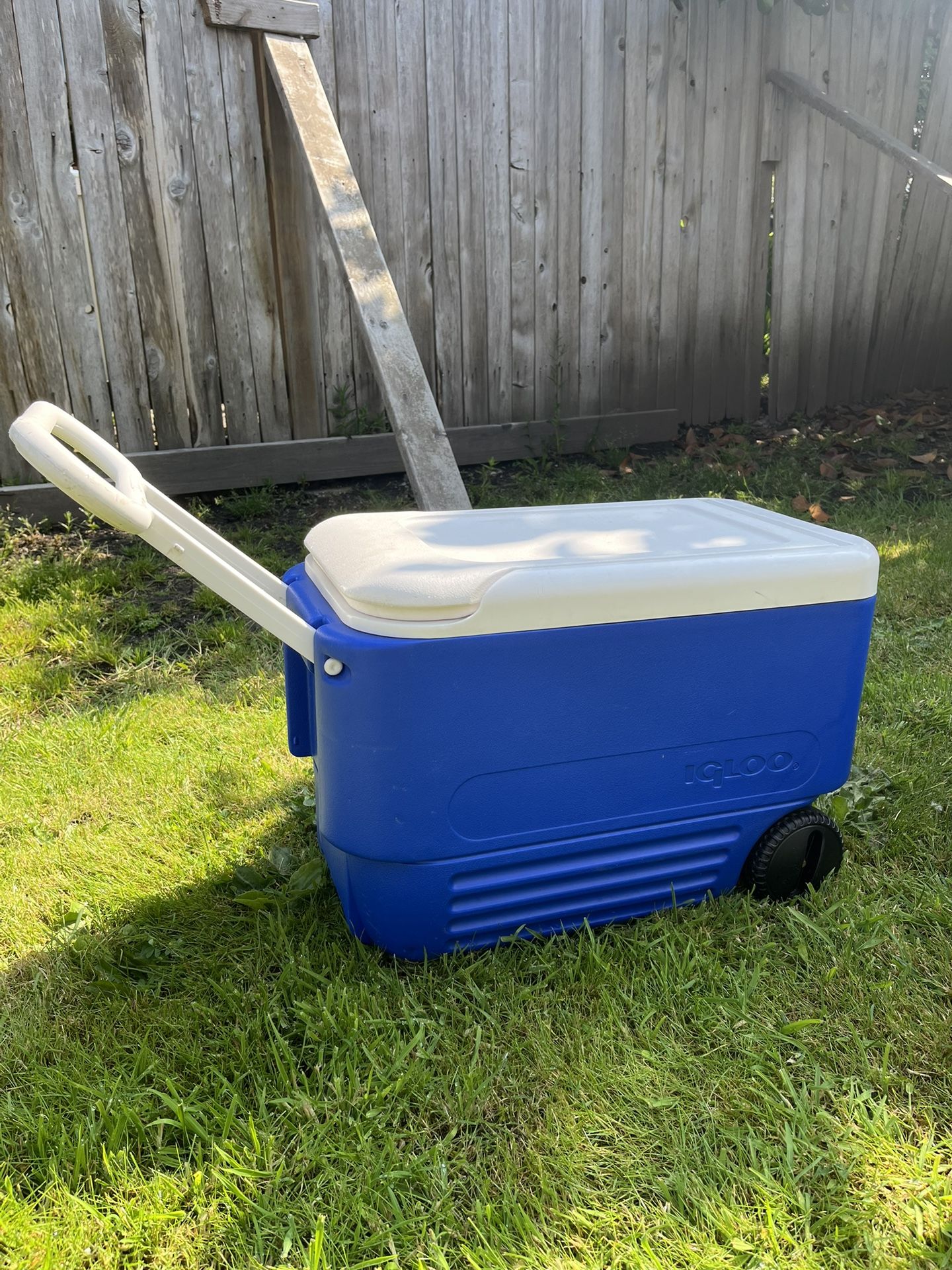 Coleman/igloo Coolers