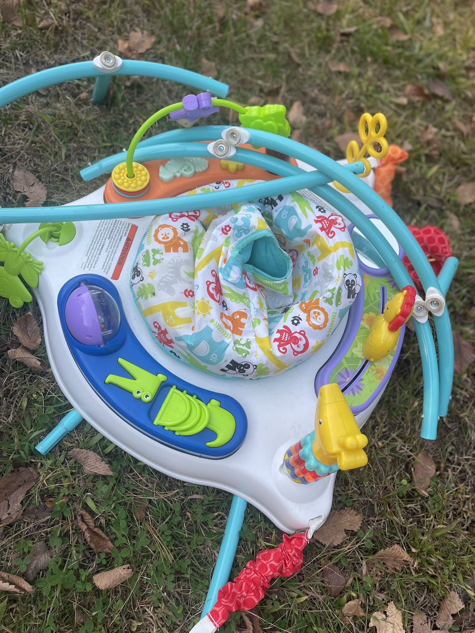 Fisher Price Bouncer 