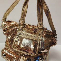 Coach Poppy Sequin Coach Bag