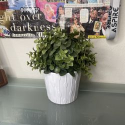 Fake House plant in vase