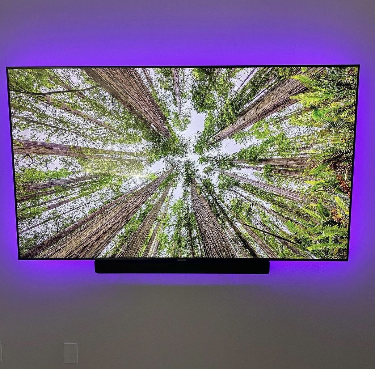 TV MOUNT