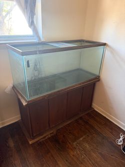 Fish tank