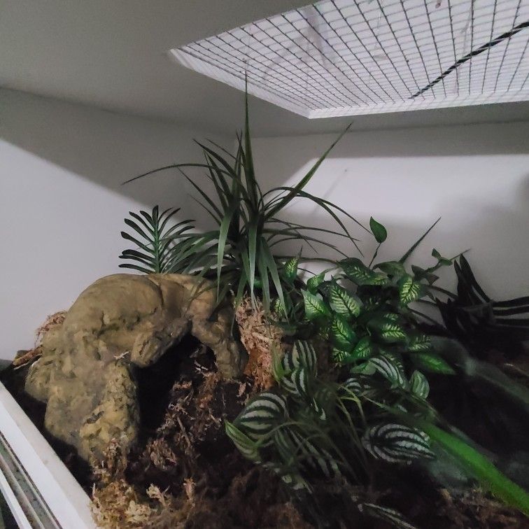 PVC Terrarium 4'x2'x18"