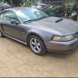 Mustang Doors