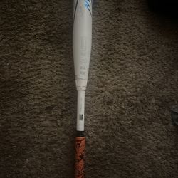 Rawlings Mantra Fastpitch Softball Bat 31" Drop 10