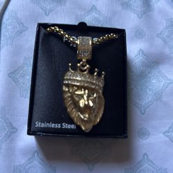 Lion chain stainless steel