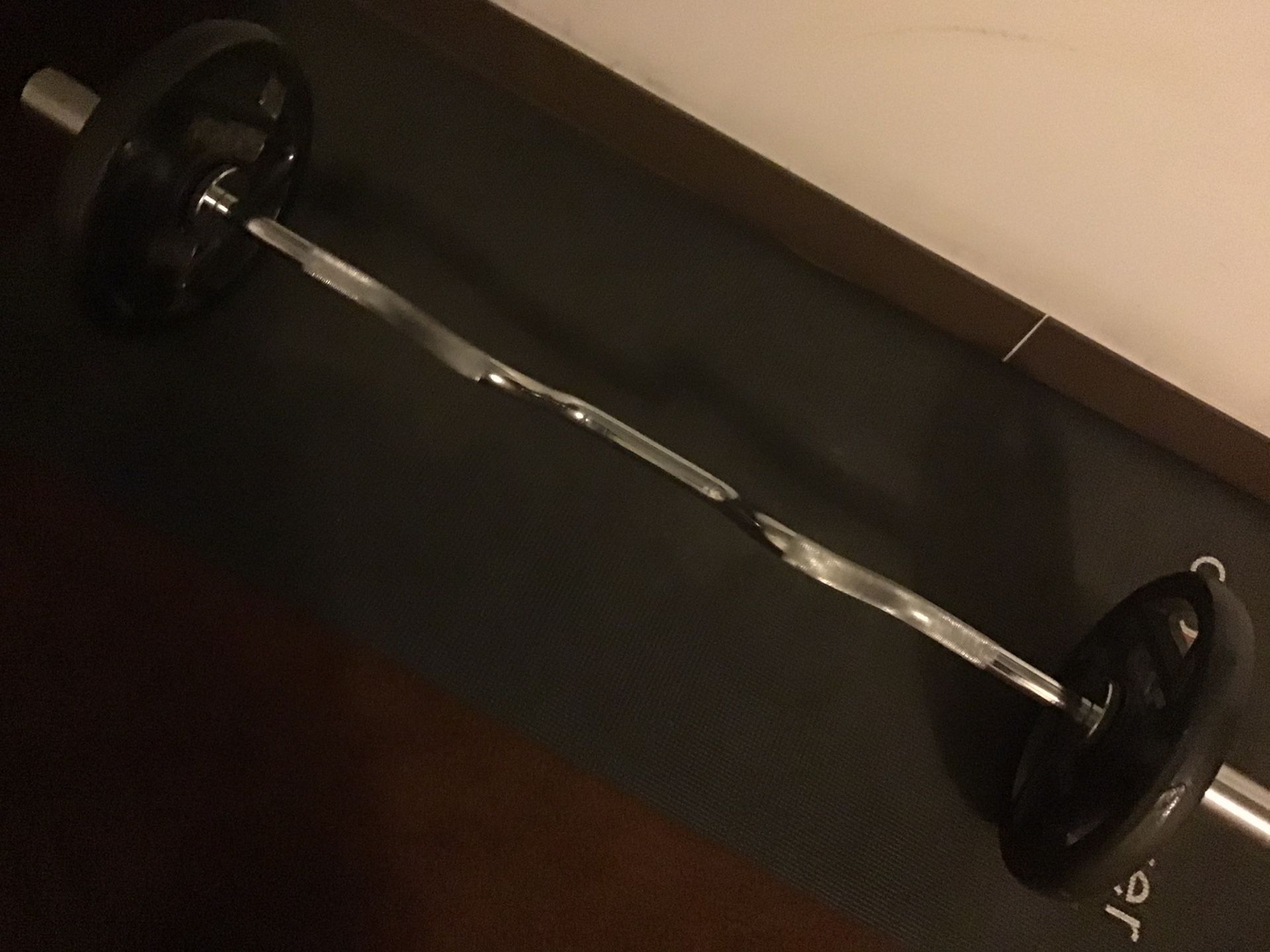 "Olympic curl bar with two 25LB plates."