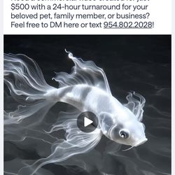 COMMERCIAL VIDEO PRODUCTIONS ONLY $500