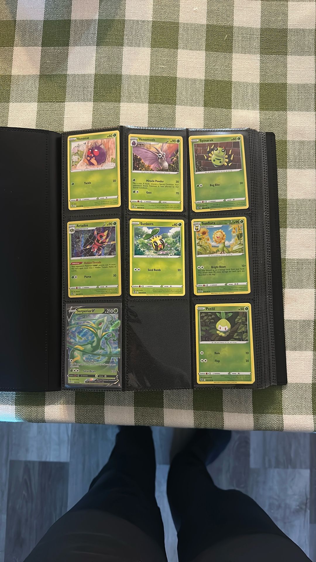 Pokémon Silver Tempest