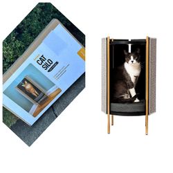Black Woodgrain Finish, 14" W x 14" D x 26" H - Modern Cat Furniture with Vegetable-Dyed Scratching Pads, Cat Enclosure for Covered Safe Space