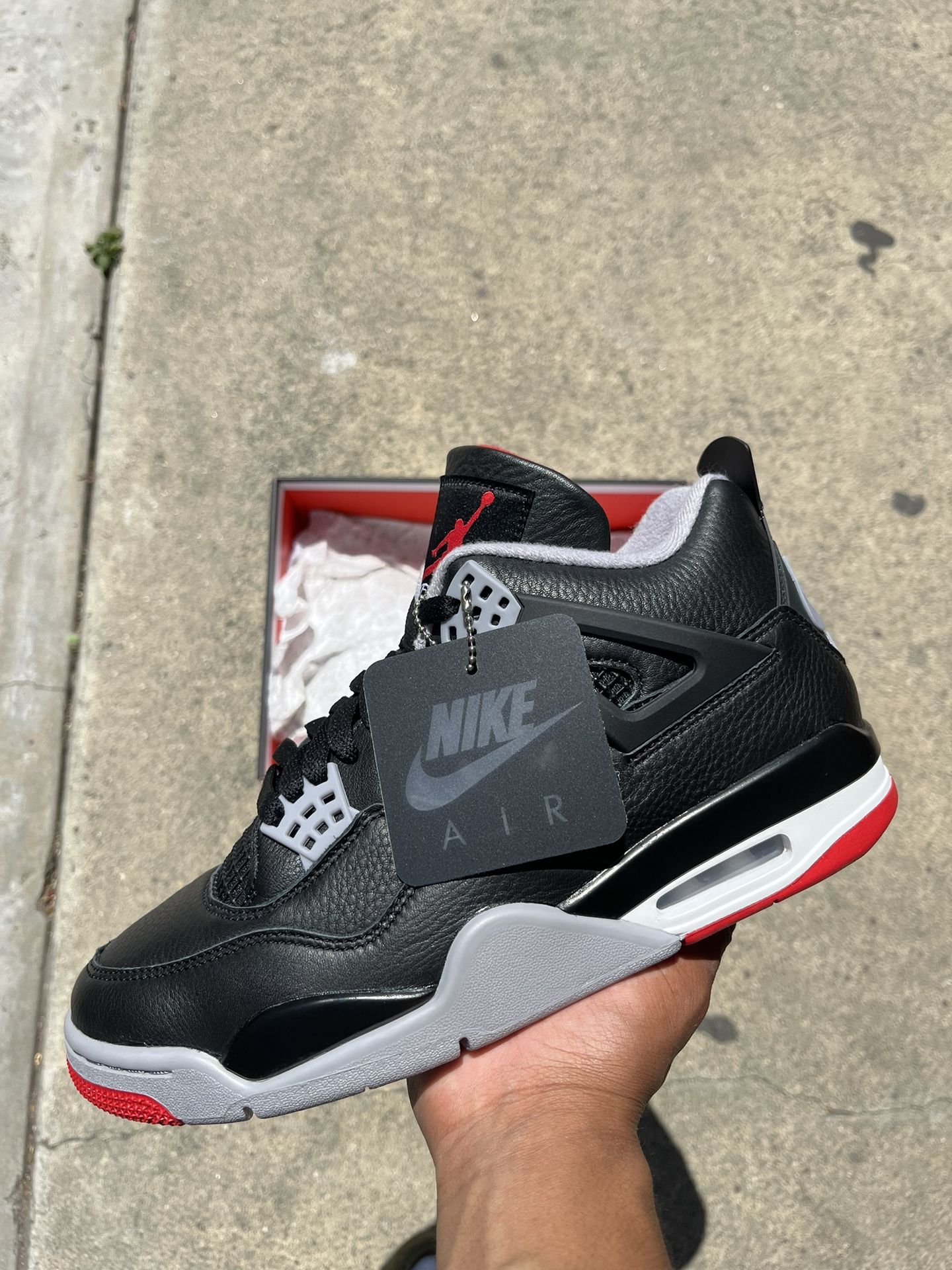 Jordan bred reimagined size