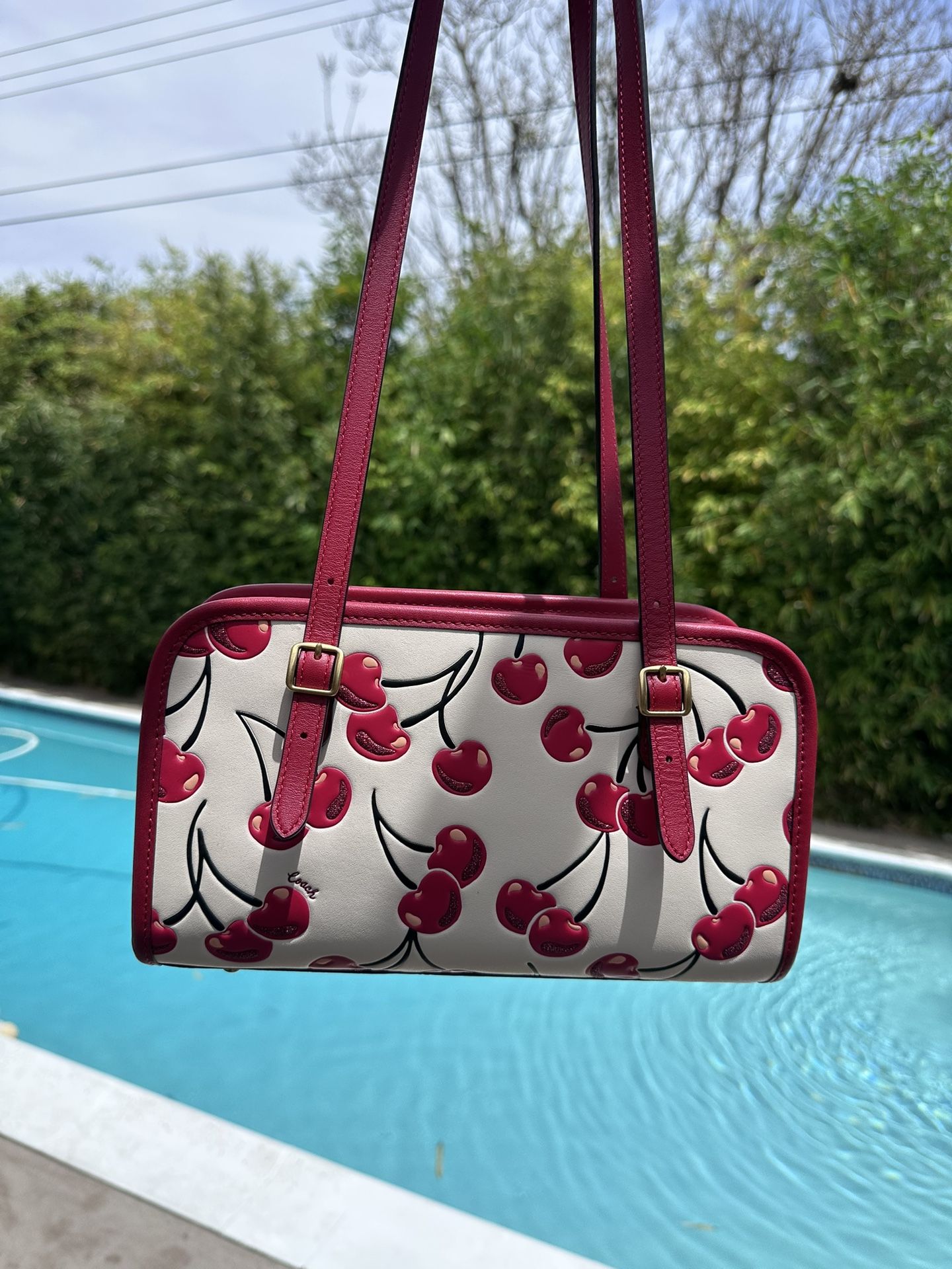 Coach Brand New Cherry Purse Zip line Swing