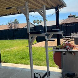 Pull Up Bar And Dip Stand Workout Equipment 