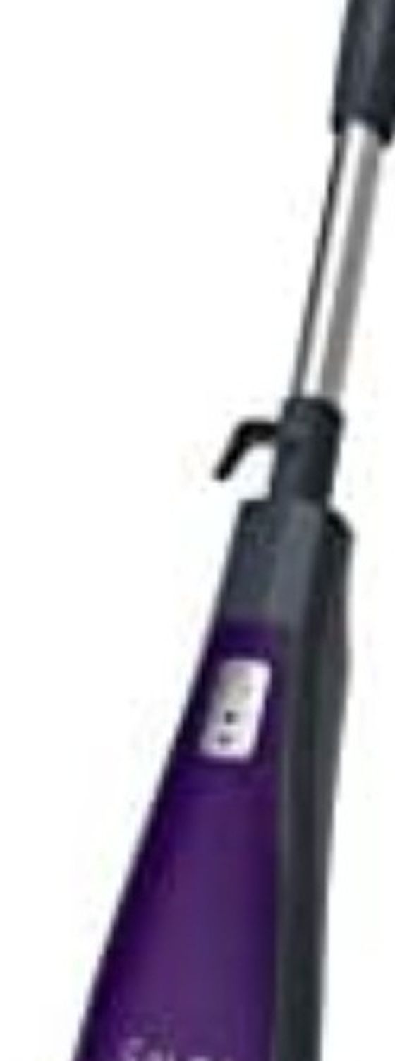 Steam Mop