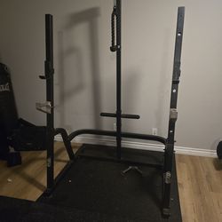 Weight Bench