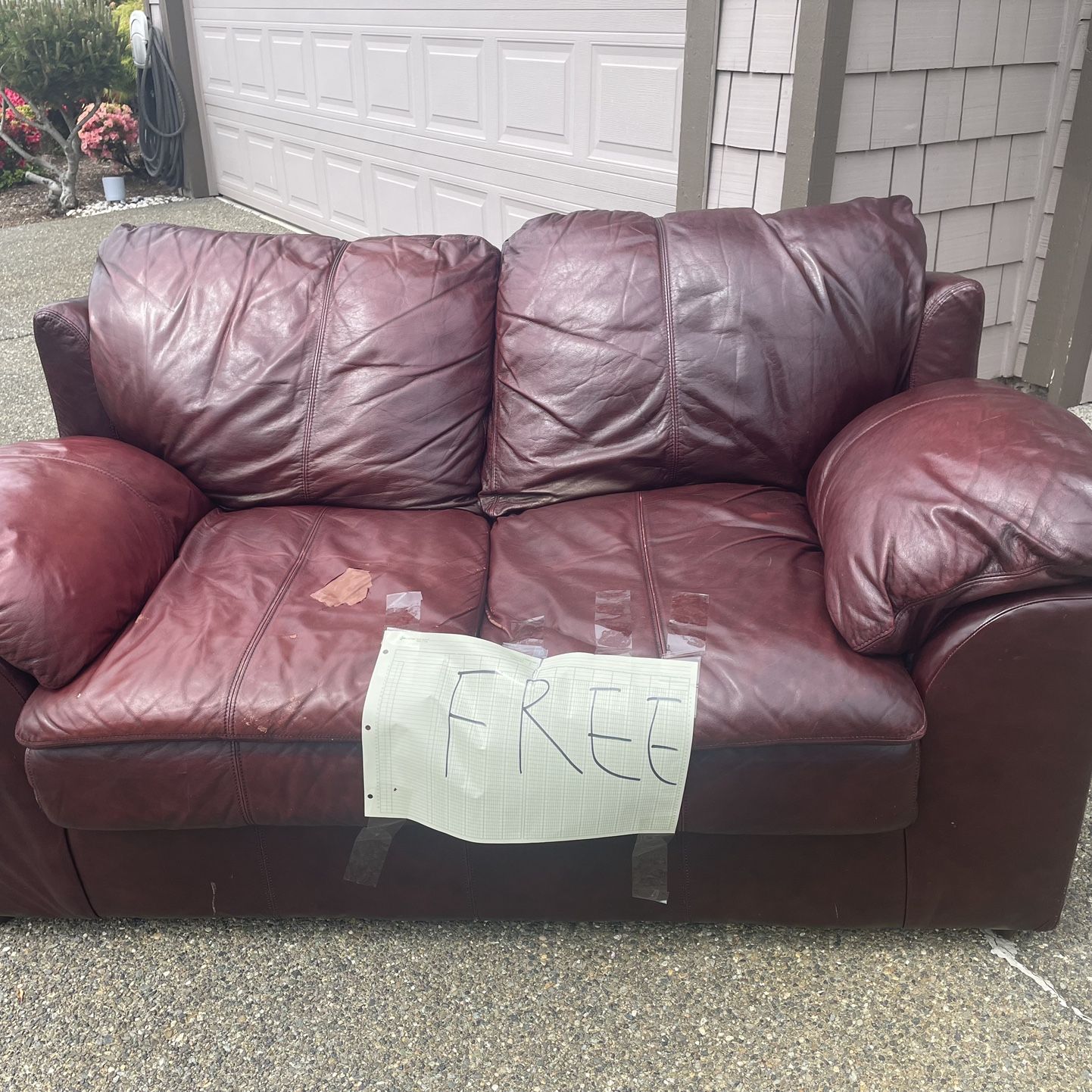 Free Leather Sofa