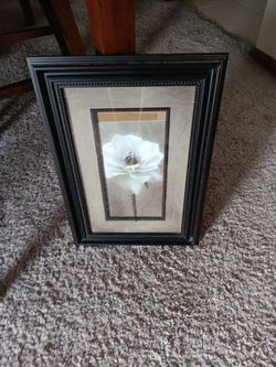 Beautiful Dark Brown Framed Picture