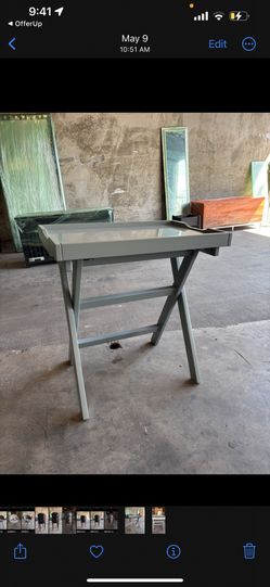 Lacquer Painted Food Tray