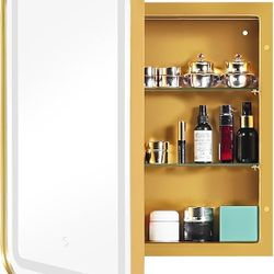 LED Medicine Cabinet Lighted Bathroom Mirror, Bathroom Vanity Mirror with 2 Storage Shelves, 24”x 16” Recessed Medicine Cabinet, Wall Mounted Deep Met