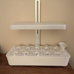 Hydroponic Indoor Garden