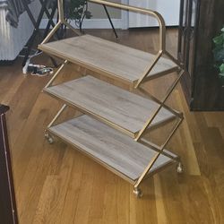 Mid-century Style Rolling Shelves