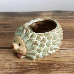 Tiny Hedgehog Planter – $3  
