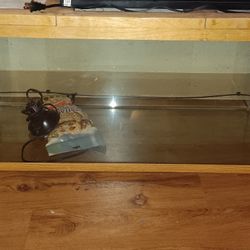 40 Gallon Reptile/Fish Tank