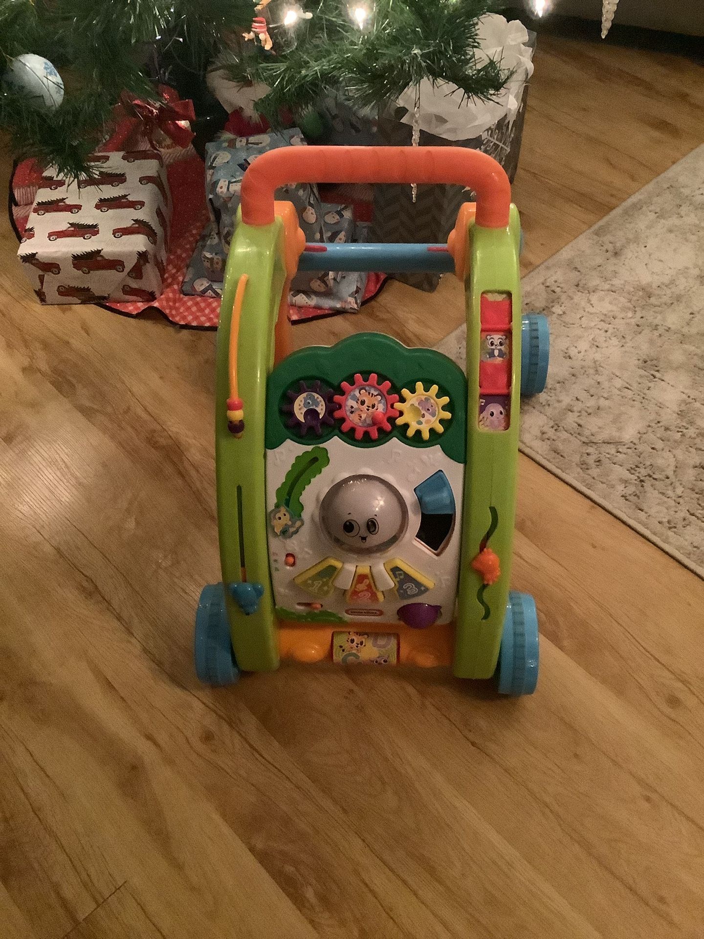 Activity Push Toy