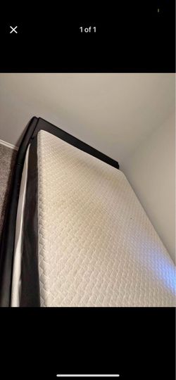 Mattress, Frame, and Box Spring
