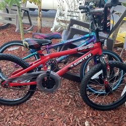 2 Bikes For $25