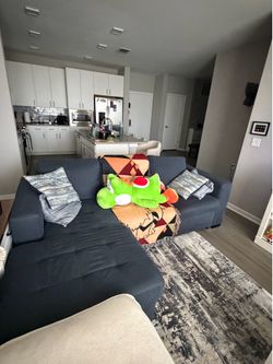 Blue pullout couch