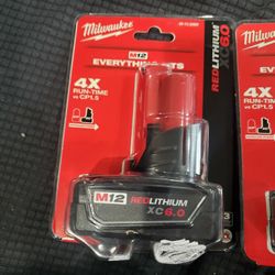 Milwaukee m12 6.0 batteries 