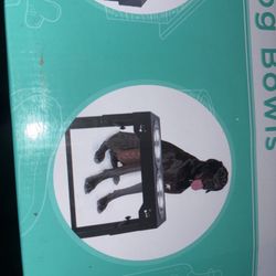 Dog Bowl