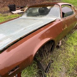 1972 Cheney Camaro Parts 