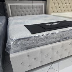 Queen Sizes Bed With Mattress 